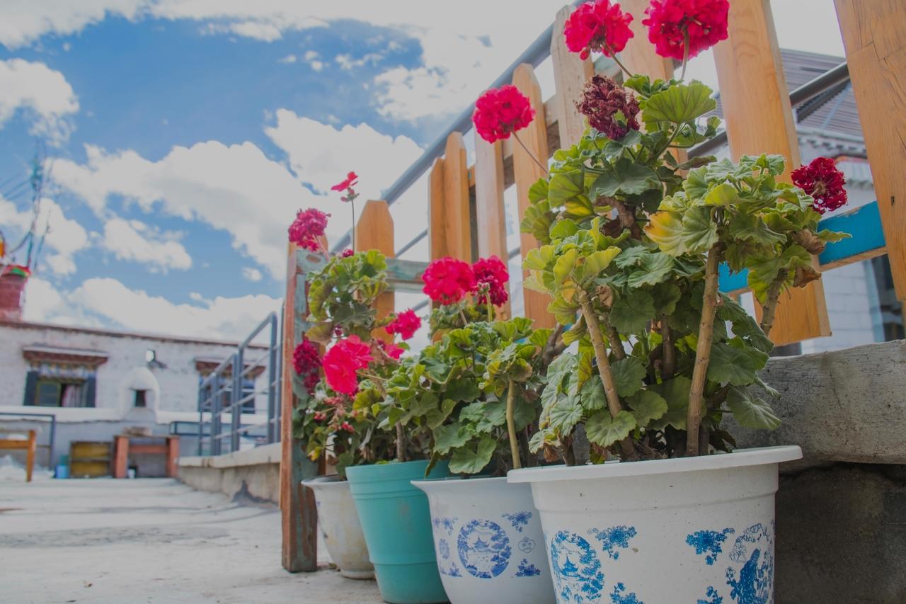 Fengma Feiyang Hostel لاسا المظهر الخارجي الصورة