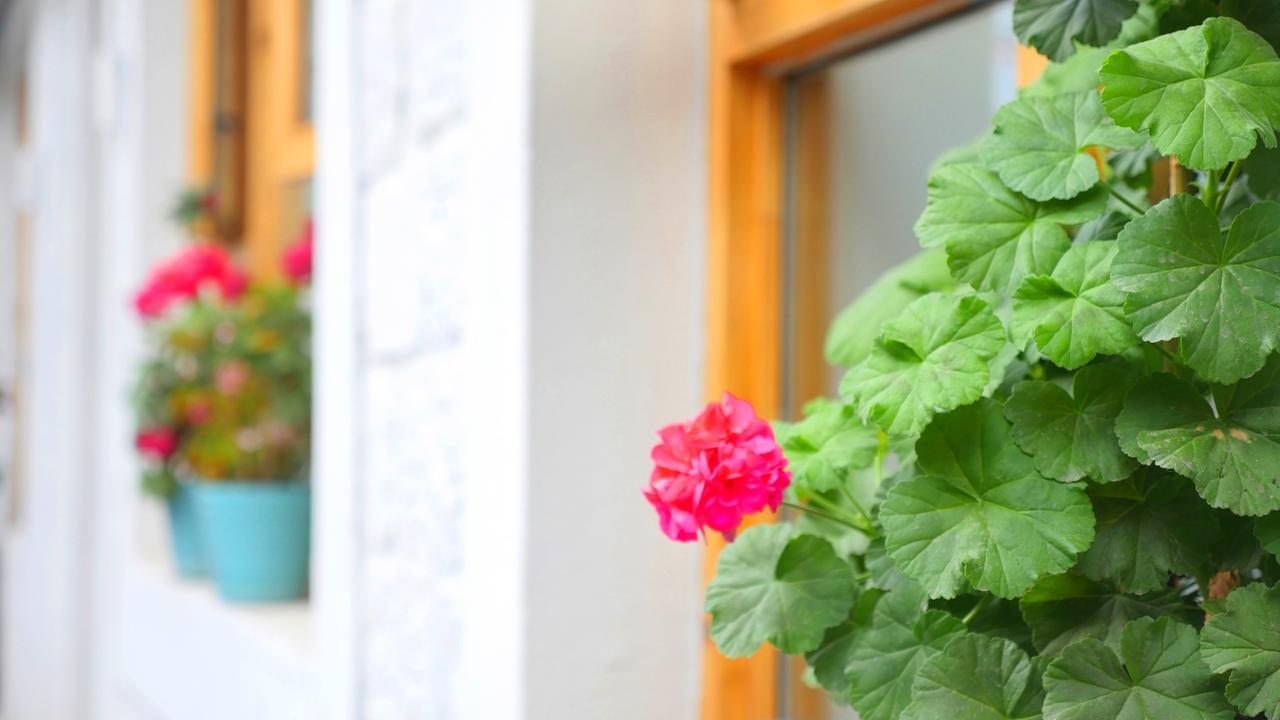 Fengma Feiyang Hostel لاسا المظهر الخارجي الصورة